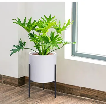 D'vine Dev White Cylinder Planter with Stand - Elegant Design