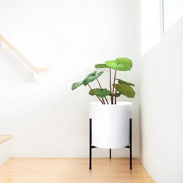 D'vine Dev White Cylinder Planter with Stand - Elegant Design