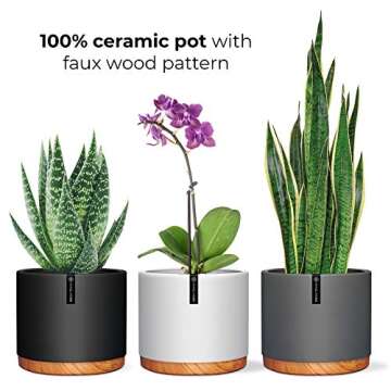 Fivoli Home 6 Inch Pots for Plants in Mid Century Modern Indoor Planter Design- These Ceramic Plante...