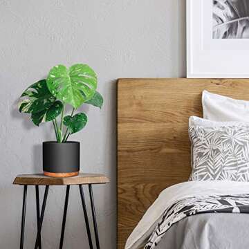 Fivoli Home 6 Inch Pots for Plants in Mid Century Modern Indoor Planter Design- These Ceramic Planters are Beautiful Indoor Plant Pots with Drainage- Perfect Housewarming Gift - Plant Not Included