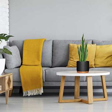 Fivoli Home 6 Inch Pots for Plants in Mid Century Modern Indoor Planter Design- These Ceramic Planters are Beautiful Indoor Plant Pots with Drainage- Perfect Housewarming Gift - Plant Not Included