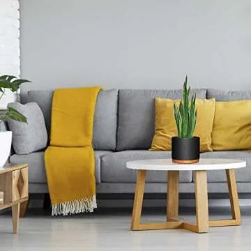 Fivoli Home 6 Inch Pots for Plants in Mid Century Modern Indoor Planter Design- These Ceramic Planters are Beautiful Indoor Plant Pots with Drainage- Perfect Housewarming Gift - Plant Not Included