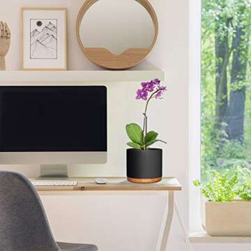 Fivoli Home 6 Inch Pots for Plants in Mid Century Modern Indoor Planter Design- These Ceramic Planters are Beautiful Indoor Plant Pots with Drainage- Perfect Housewarming Gift - Plant Not Included