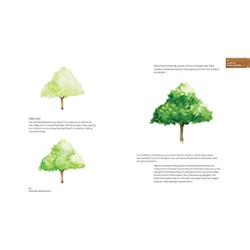 Everyday Watercolor guide to painting in 30 days