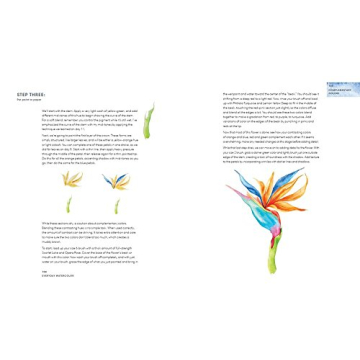 Everyday Watercolor guide to painting in 30 days