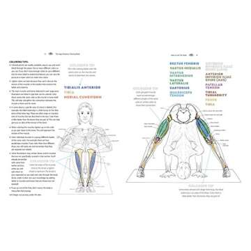 Yoga Anatomy Coloring Book: A Visual Guide to Form, Function, and Movement - An Educational Anatomy ...