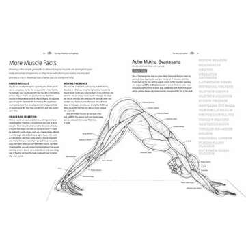 Yoga Anatomy Coloring Book: A Visual Guide to Form, Function, and Movement - An Educational Anatomy Coloring Book for Medical Students, Yoga ... & Adults (Volume 1) (Anatomy Coloring Books)