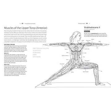 Yoga Anatomy Coloring Book: A Visual Guide to Form, Function, and Movement - An Educational Anatomy Coloring Book for Medical Students, Yoga ... & Adults (Volume 1) (Anatomy Coloring Books)