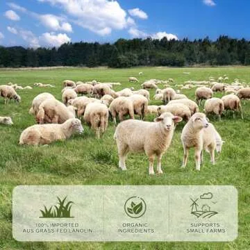 Pure Australian Lanolin Cream - Natural Moisturizer for All Skin Needs