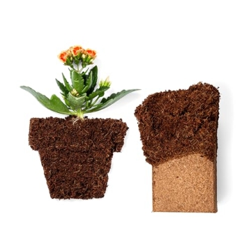 Coco Bliss 650gm Bricks (5-Pack) - Organic Coco Coir for Plants - OMRI-Listed Coco Coir for Garden Soil & Potting Mixes - Coconut Fiber Mixes with Potting Soil for Indoor Plants & Outdoor Plants