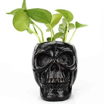 Arola Black Skull Pen & Pencil Holder Skeleton Key Holder Makeup Brush Holder flower pot Home Office Desk Supplies Organizer Accessory