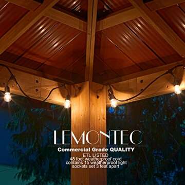 Lemontec Commercial Grade Outdoor String Lights with 15 Hanging Sockets - 48 Ft Black Weatherproof Cord Weatherproof Strand for Patio Garden Porch Backyard Party Deck Yard – S14 Black