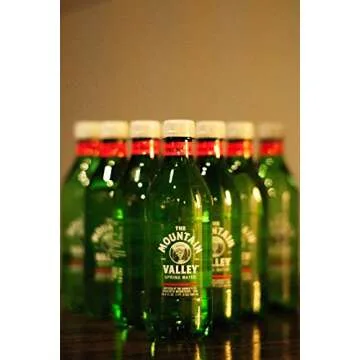 Premium 500 ML Spring Water in Recyclable Plastic