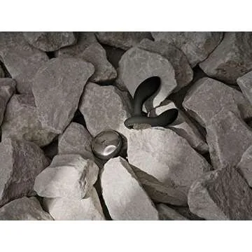 LELO Hugo Remote Controlled Vibrating Prostate Massager for Men, Deep Rose, 1.14 Pound