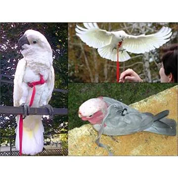 AVIATOR Pet Bird Harness - Medium Silver for Secure Flights