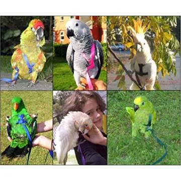 AVIATOR Pet Bird Harness - Medium Silver for Secure Flights