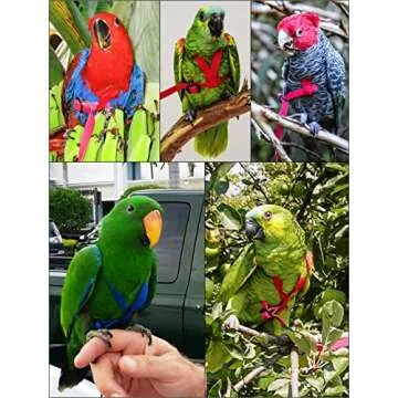 AVIATOR Pet Bird Harness - Medium Silver for Secure Flights