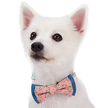 Blueberry Pet Gift Box with Pack of 2 Handmade Dog Cat Bow Tie, Paisley Fave Designer Bowtie Set, 4" * 2.5"