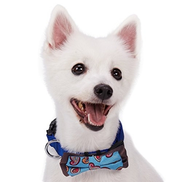 Blueberry Pet Gift Box with Pack of 2 Handmade Dog Cat Bow Tie, Paisley Fave Designer Bowtie Set, 4" * 2.5"