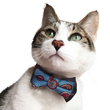 Blueberry Pet Gift Box with Pack of 2 Handmade Dog Cat Bow Tie, Paisley Fave Designer Bowtie Set, 4" * 2.5"