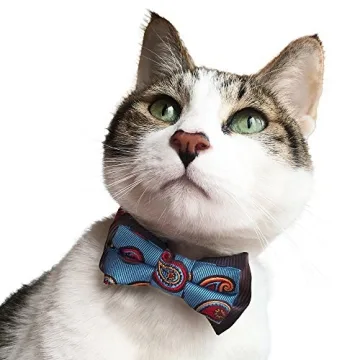 Blueberry Pet Gift Box with Pack of 2 Handmade Dog Cat Bow Tie, Paisley Fave Designer Bowtie Set, 4" * 2.5"