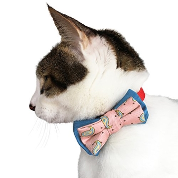 Blueberry Pet Gift Box with Pack of 2 Handmade Dog Cat Bow Tie, Paisley Fave Designer Bowtie Set, 4" * 2.5"