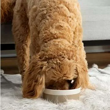 Waggo Dipper Bowl - Hello Yellow - Large - 3.25 x 8.5 inches