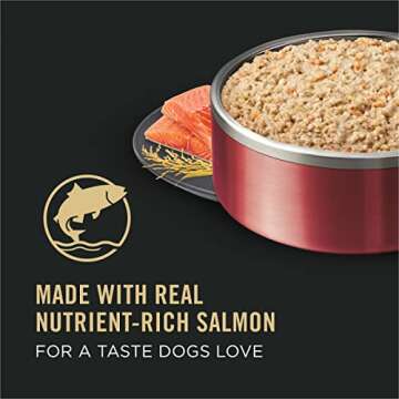 Purina Pro Plan Salmon & Rice Dog Food for Sensitive Skin