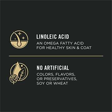 Purina Pro Plan Salmon & Rice Dog Food for Sensitive Skin