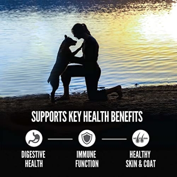 ORIJEN Amazing Grains Six Fish Dog Food for Wellness