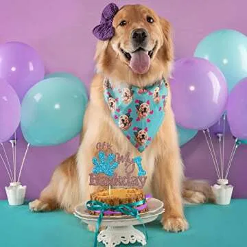 Ambishi It's My Barkday Cake Topper for Pets