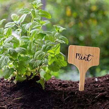 100pcs Plant Labels, Garden Plant Markers, Plastic T-Type Plant Tags, Waterproof Garden Signs for Outdoor Garden Plants Garden Potted Plants (3.9” x 2.4”)