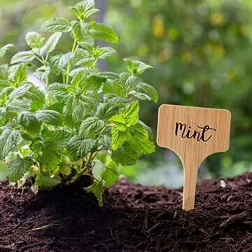 100 Waterproof Plant Labels for Garden and Potted Plants