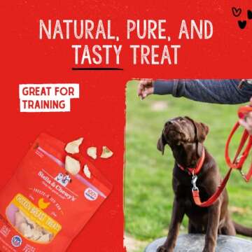 Stella & Chewy's Freeze-Dried Raw Single Ingredient Chicken Breast Treats, 2.75 oz. Bag