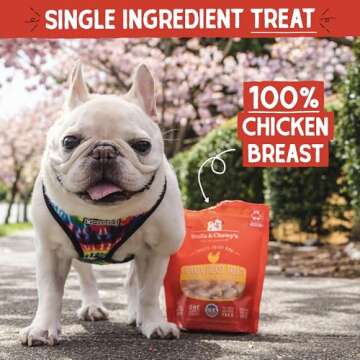 Stella & Chewy's Freeze-Dried Raw Single Ingredient Chicken Breast Treats, 2.75 oz. Bag