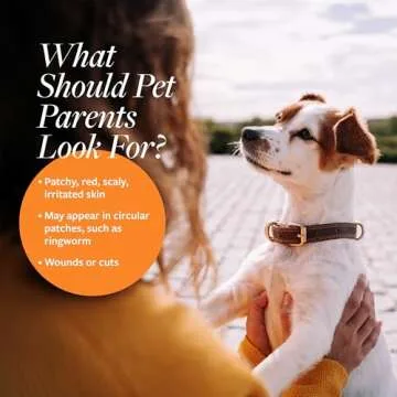 Veterinary Formula Clinical Care Antiseptic and Antifungal Medicated Spray for Dogs & Cats, 8 Fl Oz (1 Pack)