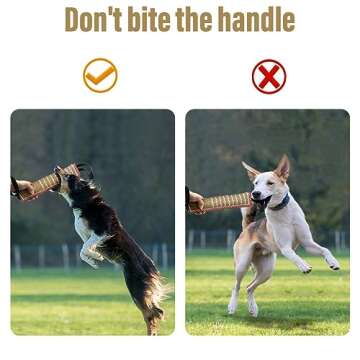 Interactive Dog Tug Toy for Fun Puppy Training and Play