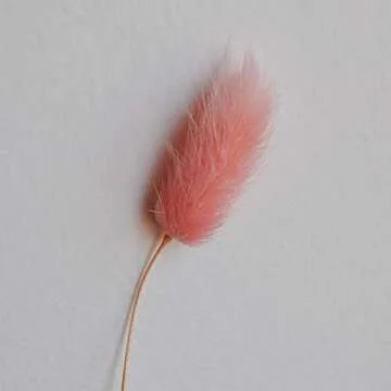 Color Life 110-120 Pcs Dried Natural Flowers Decoration, Dried Rabbit Tail Grass Flowers,Dried Pampas Grass, Used for Home, Wedding, Party, Theme Decoration,16in ( Pink)