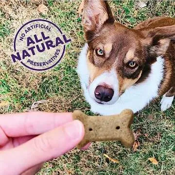 Wellness Old Mother Hubbard Dog Biscuits – 4 Flavors