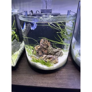 Aqua Natural Sugar White Sand for Aquariums and Terrariums