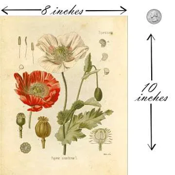 Ink Inc. Botanical Prints Wildflower Prints Floral Wall Art - Set of 6-8x10 - Unframed