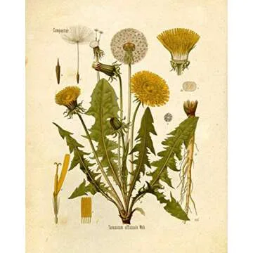 Ink Inc. Wildflower Prints - 8x10 Floral Wall Art Set of 6