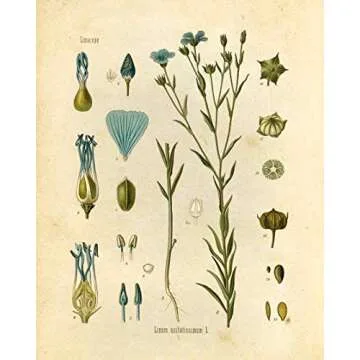 Ink Inc. Wildflower Prints - 8x10 Floral Wall Art Set of 6