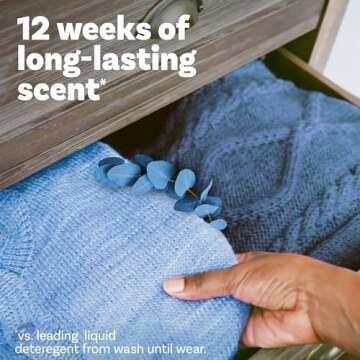 Downy Infusions Scent Booster Beads - Balance Crisp Rain