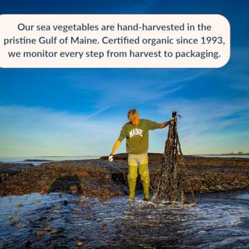 Maine Coast Sea Vegetables Dulse Granules Shaker for Flavors