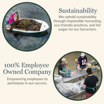 Maine Coast Sea Vegetables Dulse Granules Shaker for Flavors