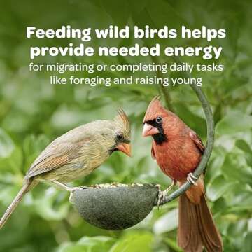 Kaytee Gourmet Bird Bar - Easy Bird Feeder Solution