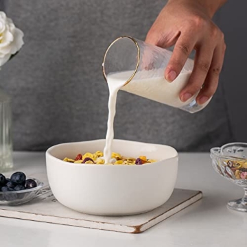 AmorArc Stoneware Cereal Bowls Set of 4 Microwave Safe