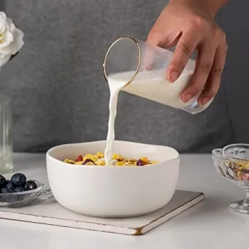 AmorArc Stoneware Cereal Bowls Set of 4 Microwave Safe