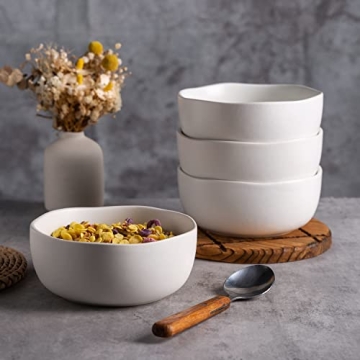 AmorArc Stoneware Cereal Bowls Set of 4 Microwave Safe